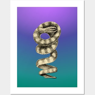 Blue gradient snake illustration Posters and Art